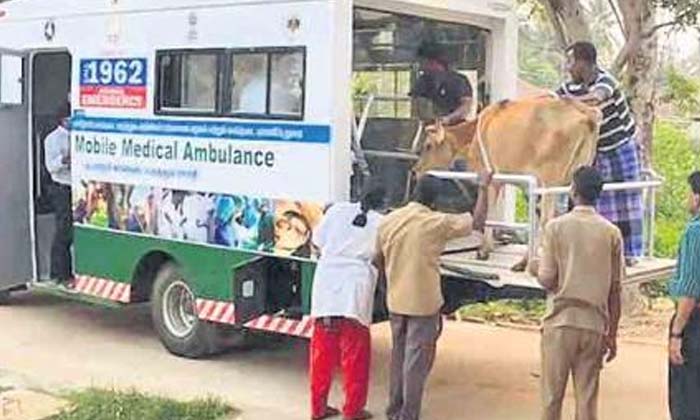  Dr Ysr Nomadic Animal Health Service  Ambulance Services For Cattle As Well ,-TeluguStop.com