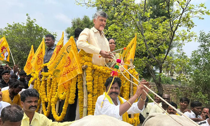  Chandrababu Serious Comments On Ys Jagan In Kurnool Tour Chandrababu, Ys Jagan,-TeluguStop.com