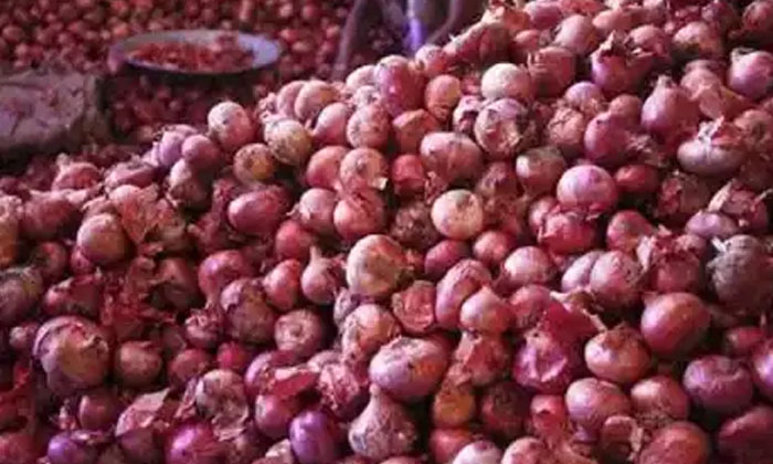  Onion Farming Farmer S 200 Quintals Of Onion Got Spoiled Onion Farming, Farmers-TeluguStop.com