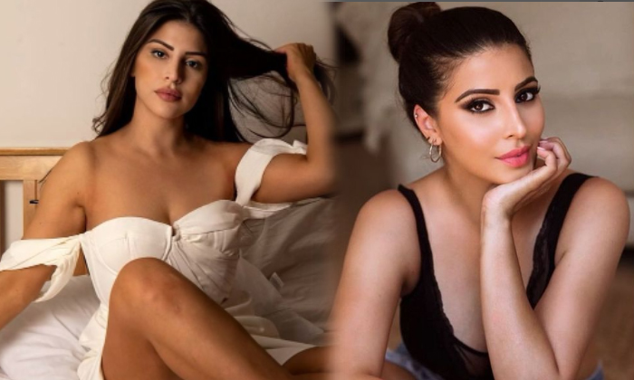 Glamorous Pictures Of Actress Karishma Kotak Shake Up The Show Social Media-telugu Actress Photos Glamorous Pictures Of High Resolution Photo