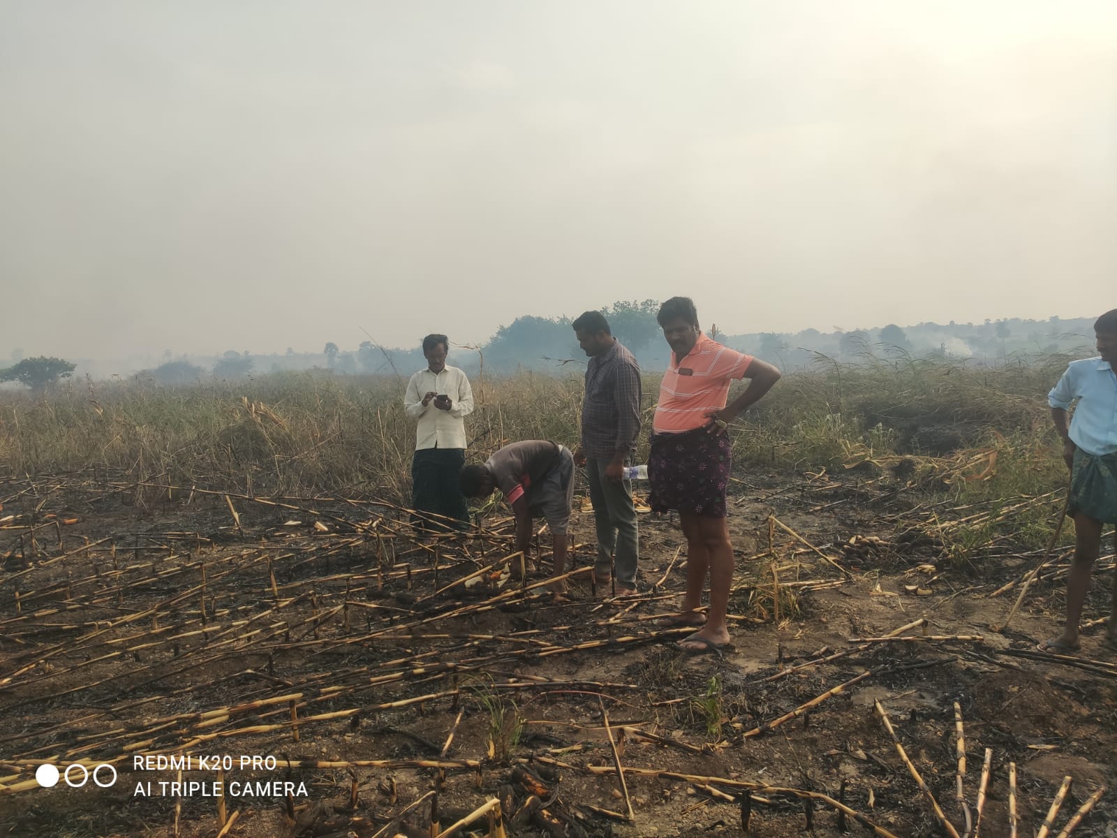 Hand-picked Corn Crop Burns To The Ground Hand-picked Corn Crop Burns To The Ground-TeluguStop.com