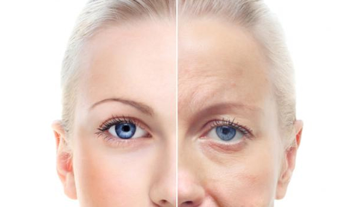 Effects Of Aging Have Been Reversed , British Scientists, Fecal Microbiota, Int Effects Of Aging Have Been Reversed , British Scientists, Fecal Microbiota, Int-TeluguStop.com