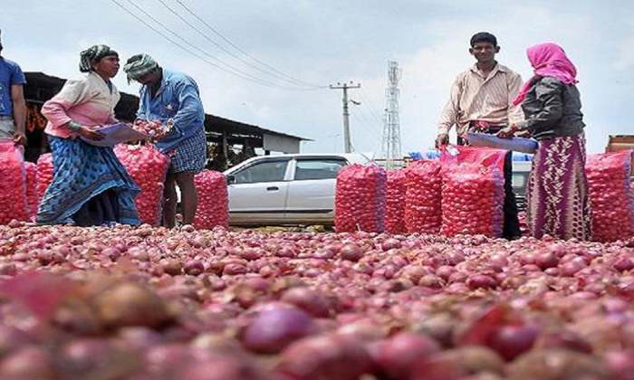  Onion Farmers Now Started Social Media Protest,onions, Onions Price, Maharashtra-TeluguStop.com