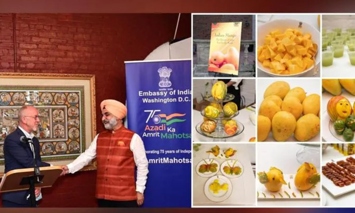 Telugu India, Mango Lassi, Mangoes, Trade Forum, Commerce, Ustr-Telugu NRI