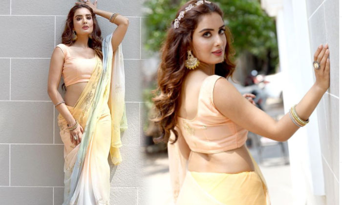 Mumbai Model Sonail Kukreja Is Attracting A Lot Of People In These Images-telugu Actress Photos Mumbai Model Sonail Kukr High Resolution Photo