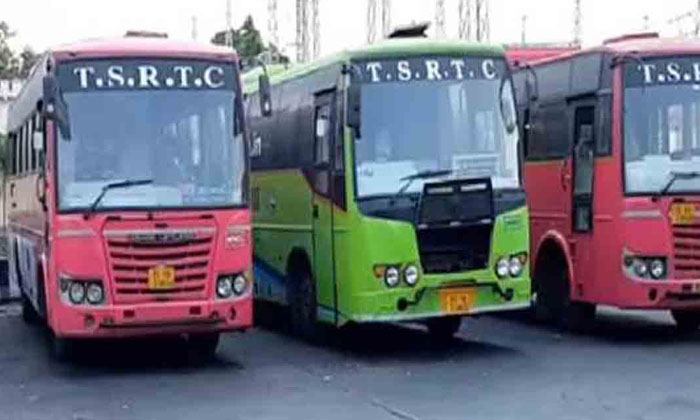Tsrtc Bumper Offer On Mothers Day Tsrtc , Mothers Day , Bumper Offer, Jaaji Redd Tsrtc Bumper Offer On Mothers Day Tsrtc , Mothers Day , Bumper Offer, Jaaji Redd-TeluguStop.com