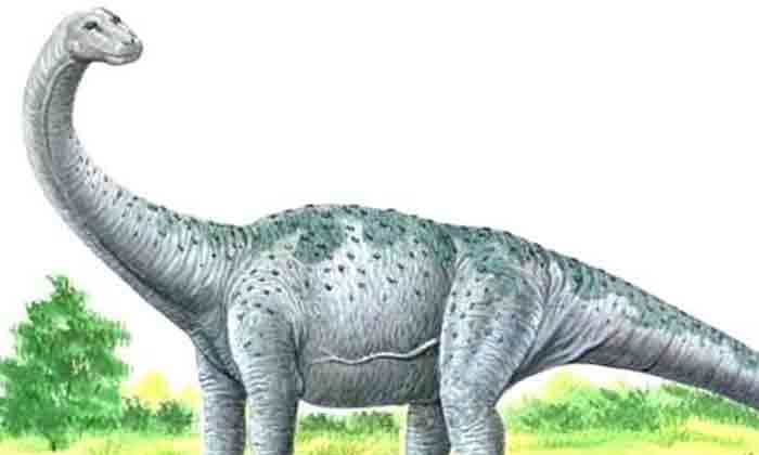  Dinosaurs Born On Earth Again , Dianoseds, Born, Earth, Viral Latest, Viral News-TeluguStop.com