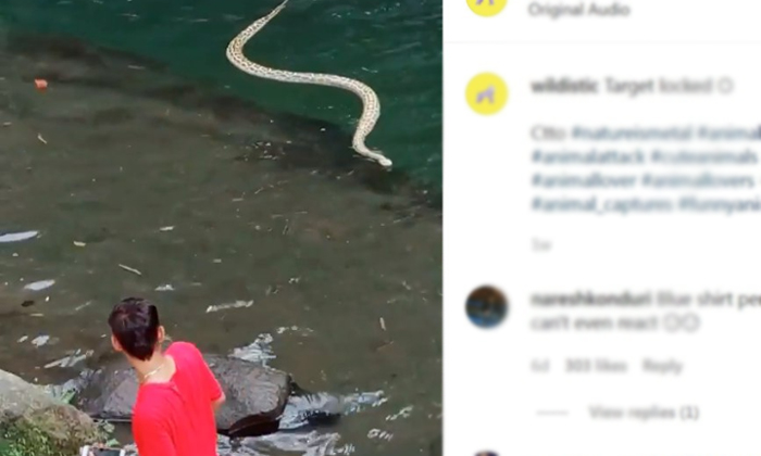  Snake Bites Young Man Who Jumped Into River For Swimming Chasing Hunting ,viral-TeluguStop.com
