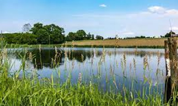 Rs 1 Lakh For The Construction Of A Pond In The Agricultural Field , Agricultura Rs 1 Lakh For The Construction Of A Pond In The Agricultural Field , Agricultura-TeluguStop.com