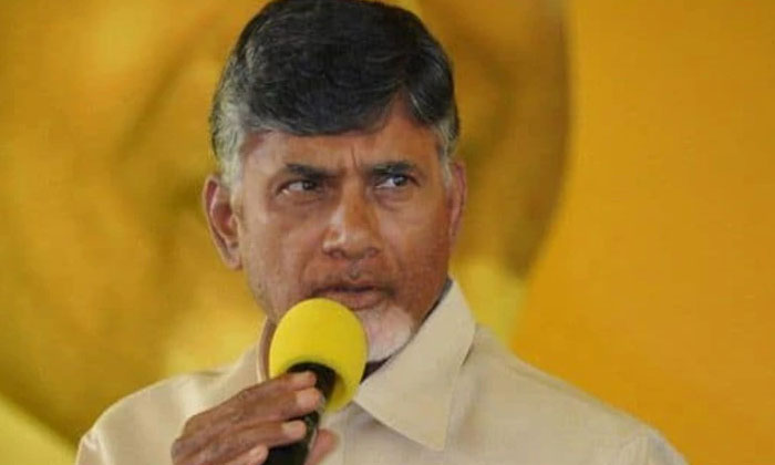  Tdp Alliance Politics Aimed At Winning Chandra Babu Naidu-TeluguStop.com