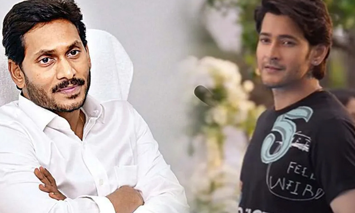 Jagan Fans Questions Viral In Social Media Details Here , Jagan, Jagan Fans, Ac Jagan Fans Questions Viral In Social Media Details Here , Jagan, Jagan Fans, Ac-TeluguStop.com