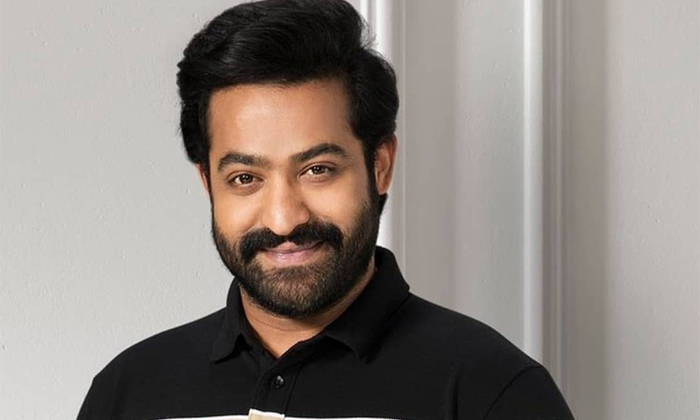  Disha Patani In Ntr30 Movie Details, Disha Patani, Jr Ntr, Koratala Siva, Ntr30,-TeluguStop.com