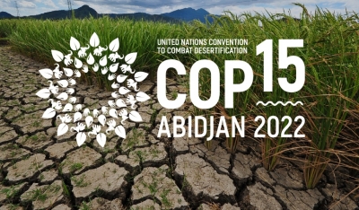  Draft Report On Desertification And Drought To Be Discussed At Cop15-TeluguStop.com