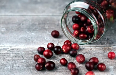  Eating Cranberries May Help Improve Memory, Ward Off Dementia-TeluguStop.com