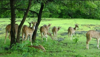  Habitats Trust Signs Mou With Up To Conserve Wildlife-TeluguStop.com