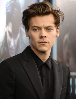  Harry Styles Halted Sold-out London Show To Help Fan In Distress-TeluguStop.com
