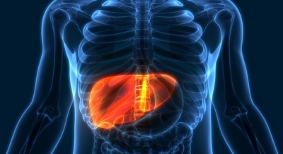  Hepatitis Cases Rising Among Children Globally But Cause Remains A Mystery-TeluguStop.com