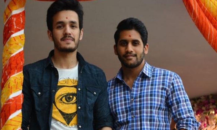 Telugu Akhil, Amala, Lakshmi, Nagarjuna, Tollywood-Movie