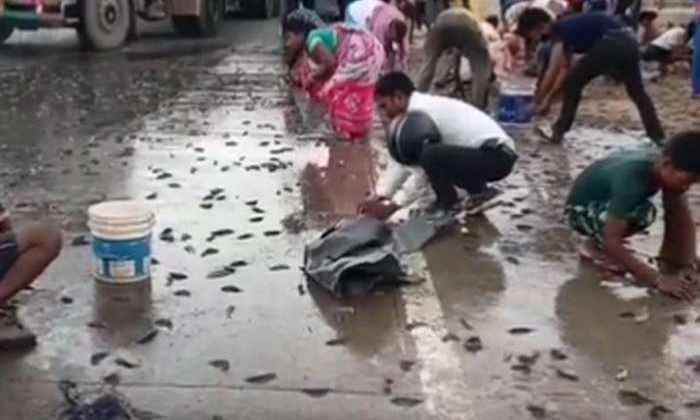  Lorry With Fish Load Overturned In Bihar Sahasra District Details, Fish Load, F-TeluguStop.com