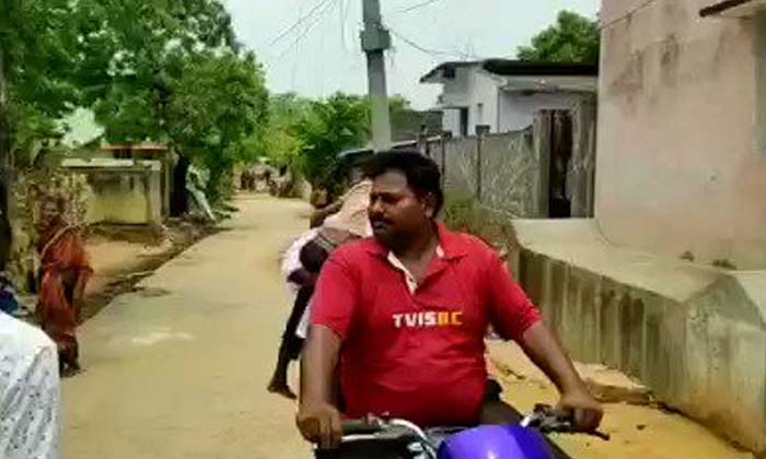 Telugu Bihar, Gaya, Pet Parrot, Parrot, Shyamdevprasad-Latest News - Telugu Telugu Bihar, Gaya, Pet Parrot, Parrot, Shyamdevprasad-Latest News - Telugu