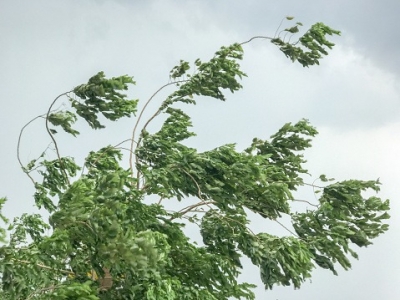  Monday's Severe Thunderstorm Saw Squally Winds Of 100 Kmph-TeluguStop.com