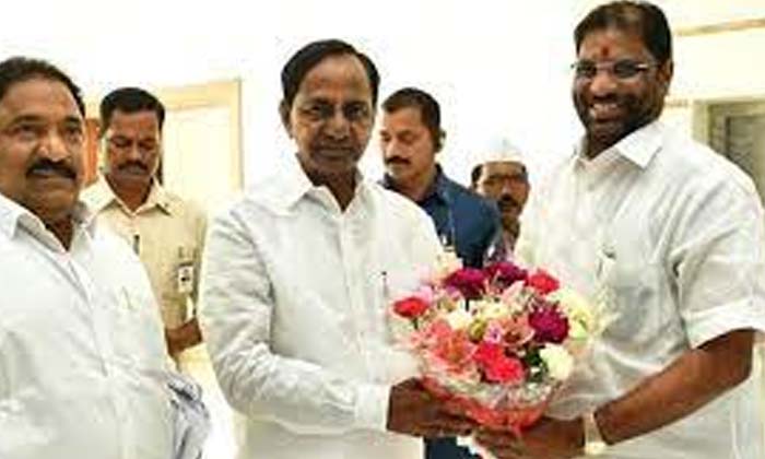  Gayatri Ravi Works Hard For The Party And The People , Gayatri Ravi ,  Kcr , Nam-TeluguStop.com