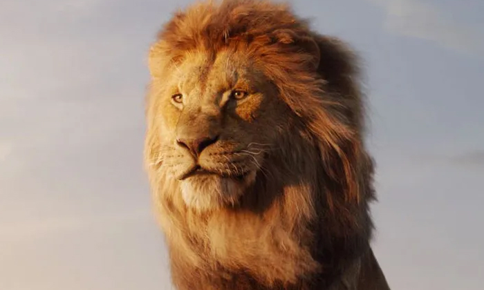 Telugu Animal, Bird, Bird Optical, Character, Optical, Day, Puzzle, Latest-Gener