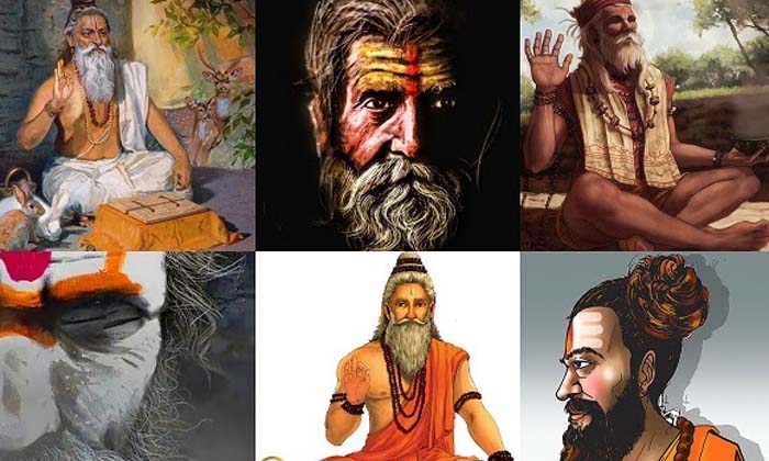  Muni, Rushi, Yogi And Sadhuvu All Are Same Or Not , Munulu , Rushulu , Sadhuvulu-TeluguStop.com