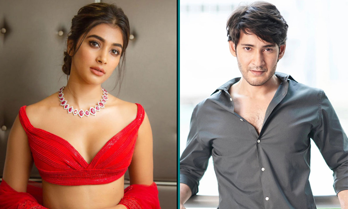 Telugu Athadu, Pooja Hegde, Khaleja, Mahesh Babu, Maheshbabu, Sarkaruvaari, Ssmb