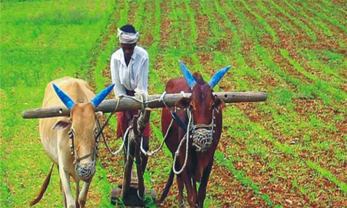 Telugu Crop, Farmers, Dharani, Estate, Officers, Telangana-Political