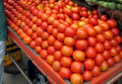  Tn Introduces Mobile Processing Units In Tomato Hub Dharmapuri-TeluguStop.com