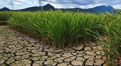  Un Summit To Address Crises Linked To Land Degradation-TeluguStop.com