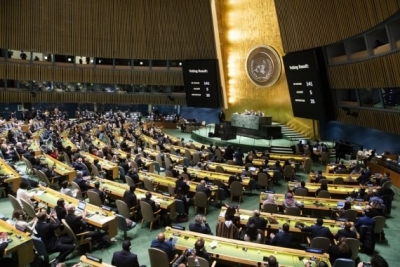  Unga Resolution Calls For Efforts To Mitigate Food Security Crisis-TeluguStop.com