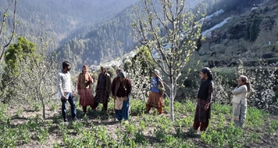  Unlikely Victims Of Ukraine War: Apple, Wheat Farmers Of Himachal-TeluguStop.com