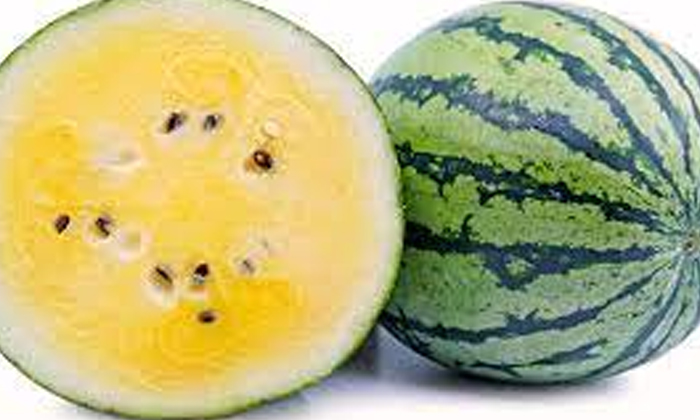  Yellow Watermelons Gives Profit , Watermelon, Yellow Watermelons, Surendra Tiwar-TeluguStop.com