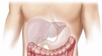  40% In India Suffer From Non-alcoholic Fatty Liver: Doctors-TeluguStop.com