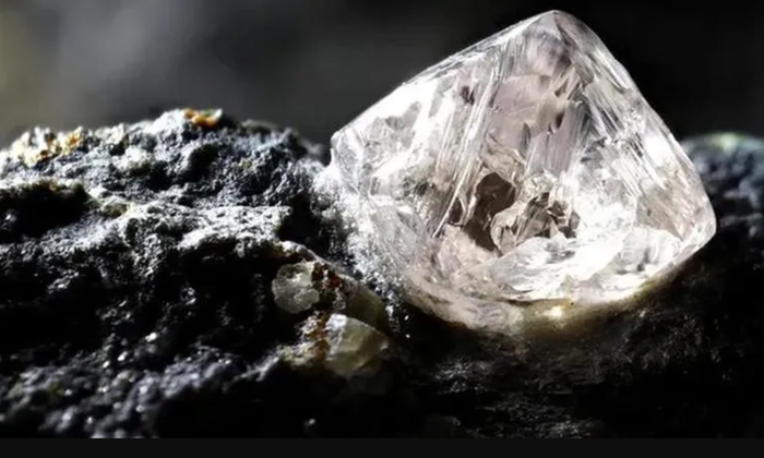 Telugu Gujarat, Russia, Russiandiamond, Russsiaukraine, Ukraine-Telugu NRI