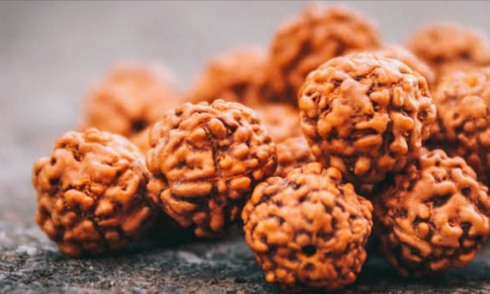  Rules For Wearing Rudraksha, Rudraksha, Rudraksha Uses,hindu Tradition,rudraksha-TeluguStop.com