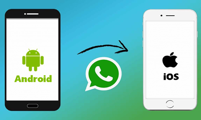  Easily Transfer Whatsapp Data From Android Phone To Iphone With Little Trick , W-TeluguStop.com