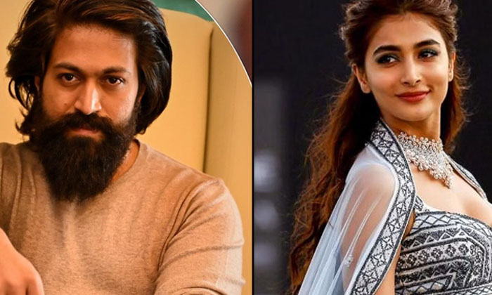  Pooja Hegde Is Heroine For Yash Movie Yash, Pooja Hegdhe , Kgf 2-TeluguStop.com