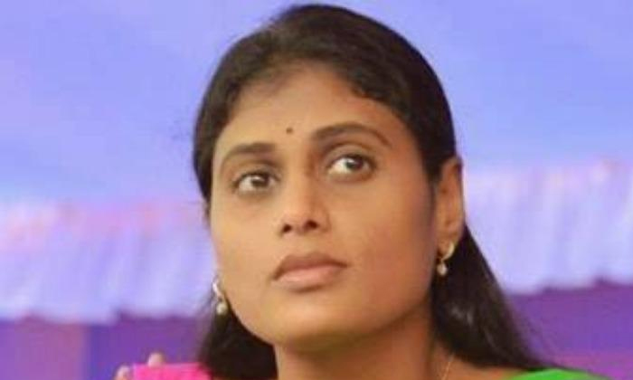 Ys Sarmila Special Focus On Paleru Constency, Ys Sharmila, Telangana. Paleru Con Ys Sarmila Special Focus On Paleru Constency, Ys Sharmila, Telangana. Paleru Con-TeluguStop.com