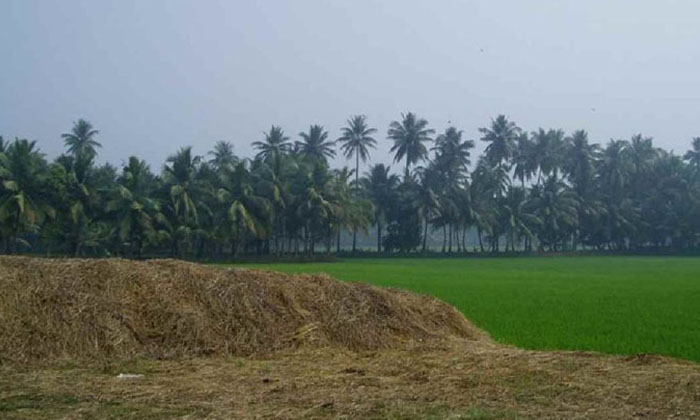  Farmers Crop Holiday Is Trouble For Jagan Government Adhra Pradesh, Cm Jagan, Cr-TeluguStop.com