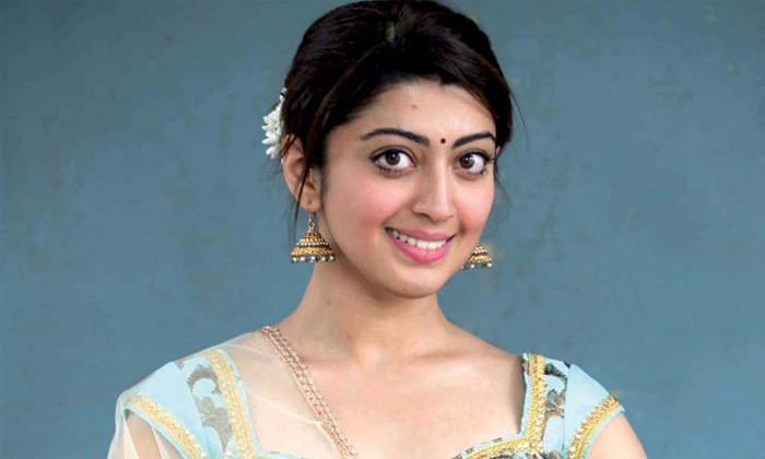  Coming Into Politics Actress Pranitha Answer To Netizen Question Details,  Actre-TeluguStop.com