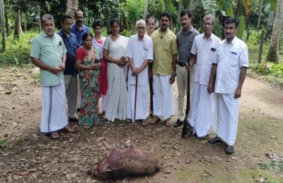  Do Wild Boar In Kerala Get To Live? Panchayats Get The Power To Decide-TeluguStop.com