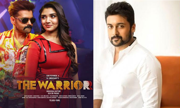Telugu Keerthi Shetty, Krithishetty, Suriya, Telugu, Warrior, Tollywood-Movie Telugu Keerthi Shetty, Krithishetty, Suriya, Telugu, Warrior, Tollywood-Movie