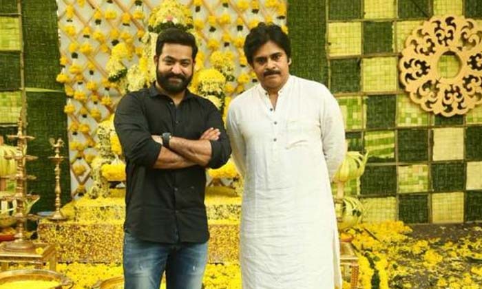  Huge Craze For Junior Ntr And Pawan Kalyan Details Here Goes Viral , Huge Craz-TeluguStop.com