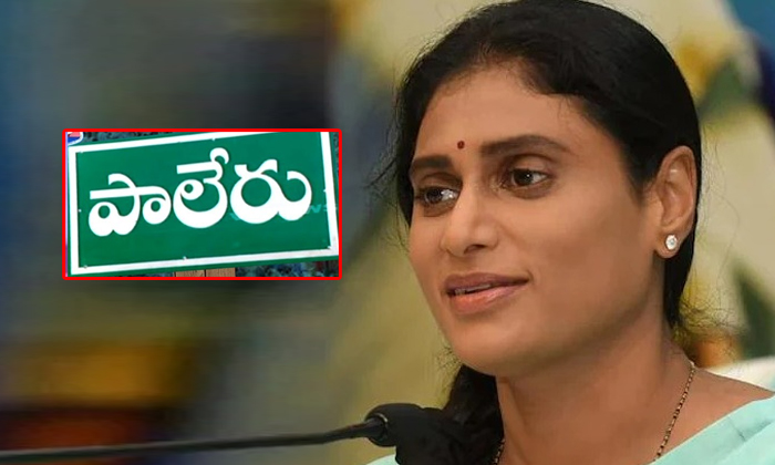 Telugu Kandalaupendar, Sharmila, Teanganapaleru, Ys Sharmila-Politics Telugu Kandalaupendar, Sharmila, Teanganapaleru, Ys Sharmila-Politics