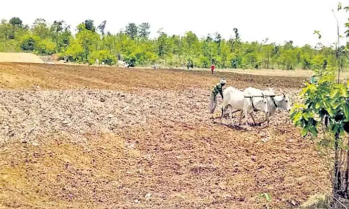  Telangana Government Immersed In Planting Podu Farmers Telangana Government , Tr-TeluguStop.com