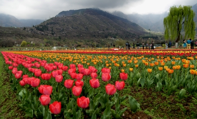  Mainly Clear To Partly Cloudy Weather Likely To Continue In J&k: Met-TeluguStop.com