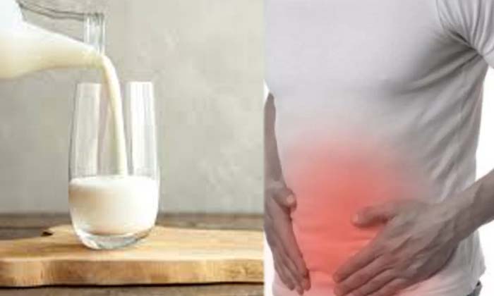  Does Anyone Know How To Take Milk At Night ,  Milk , Benefits Of Milk , Latest N-TeluguStop.com